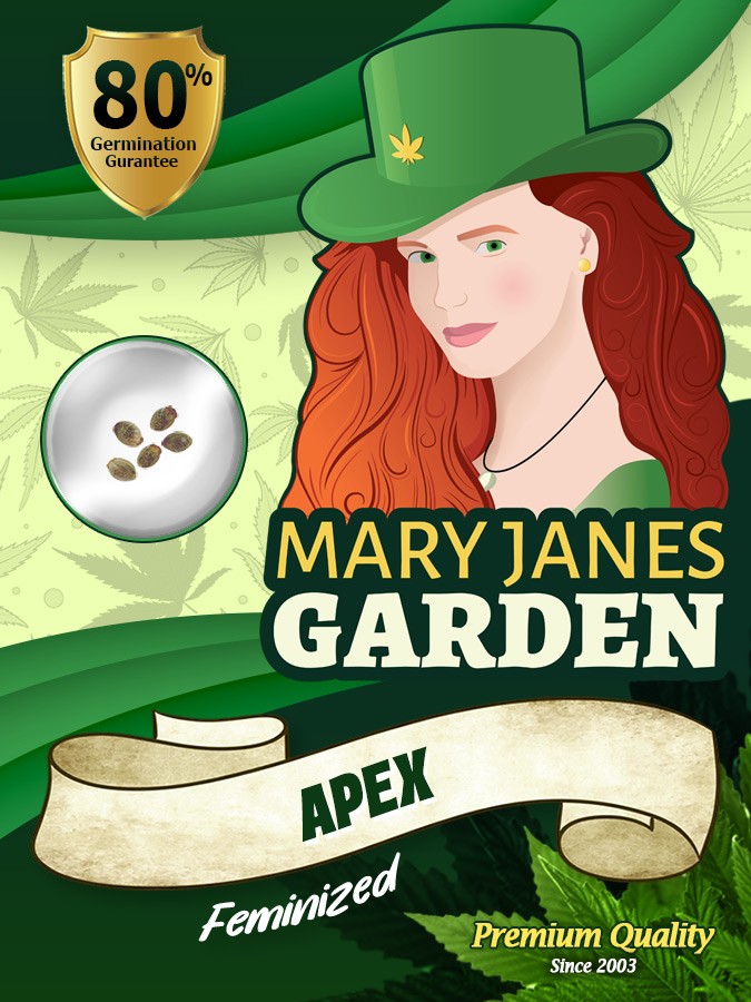 Apex Strain Feminized Marijuana Seeds