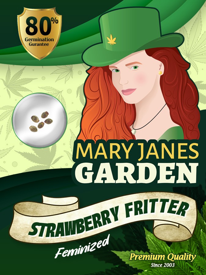 Strawberry Fritter Strain Feminized Marijuana Seeds