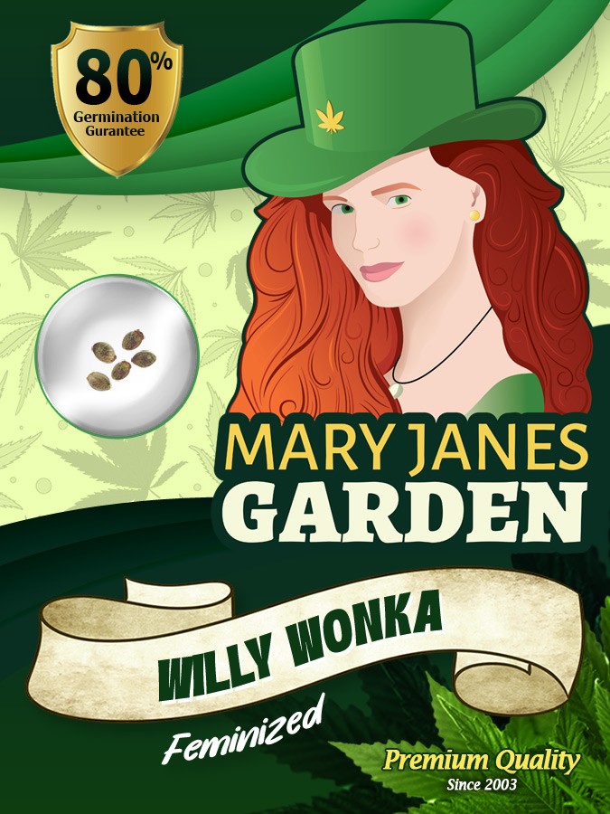 Willy Wonka Strain Feminized Marijuana Seeds
