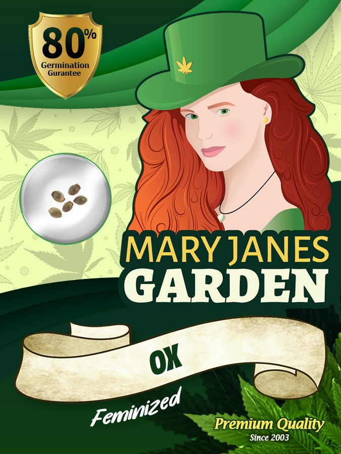Ox Strain Feminized Marijuana Seeds