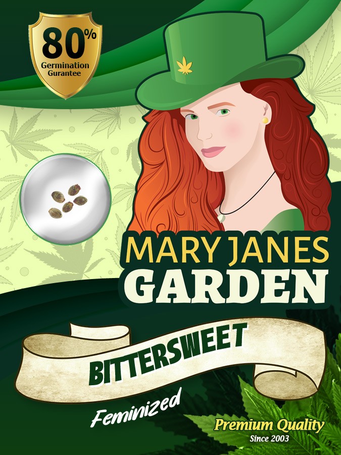Bittersweet Strain Feminized Marijuana Seeds
