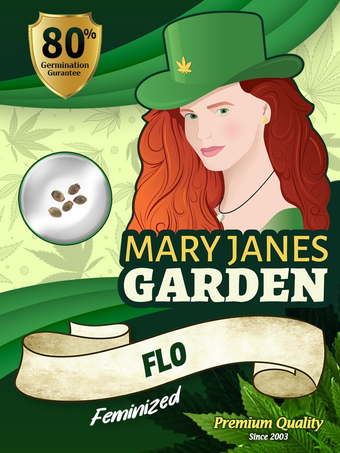 Flo Strain Feminized Marijuana Seeds
