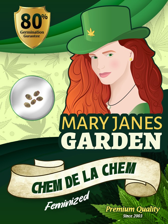 Chem De La Chem Strain Feminized Marijuana Seeds