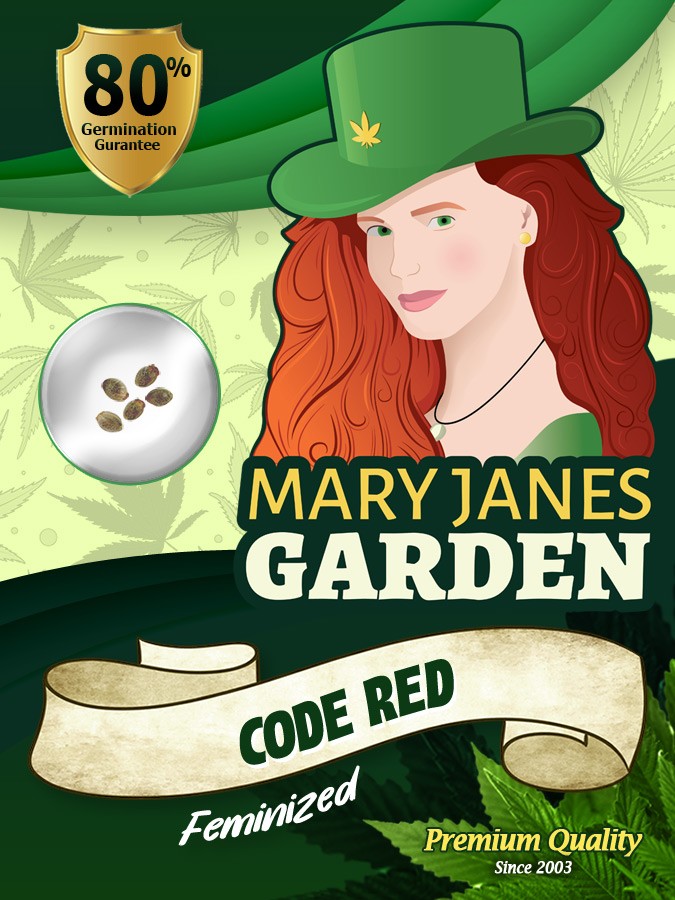 Code Red Strain Feminized Marijuana Seeds