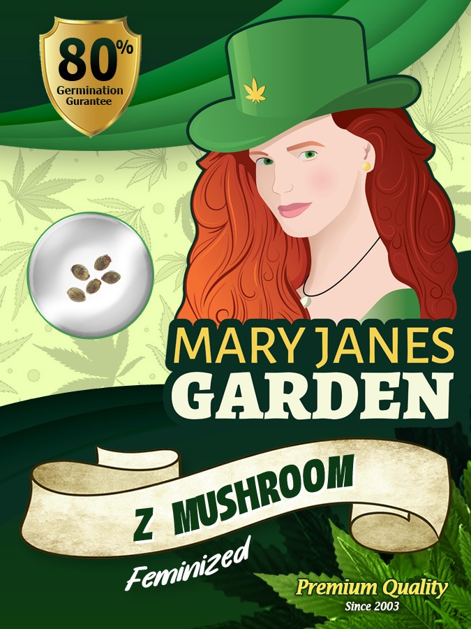 Z Strain Mushroom Feminized Marijuana Seeds