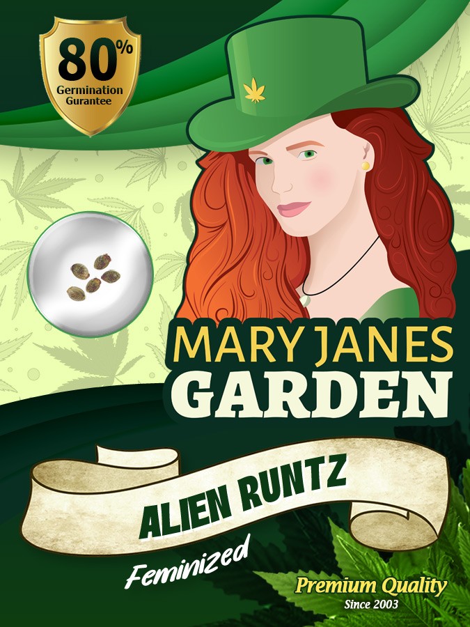 Alien Runtz Strain Feminized Marijuana Seeds