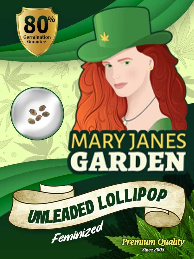 Unleaded Lollipop Strain Feminized Marijuana Seeds