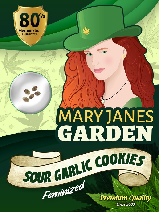 Sour Garlic Cookies Strain Feminized Marijuana Seeds