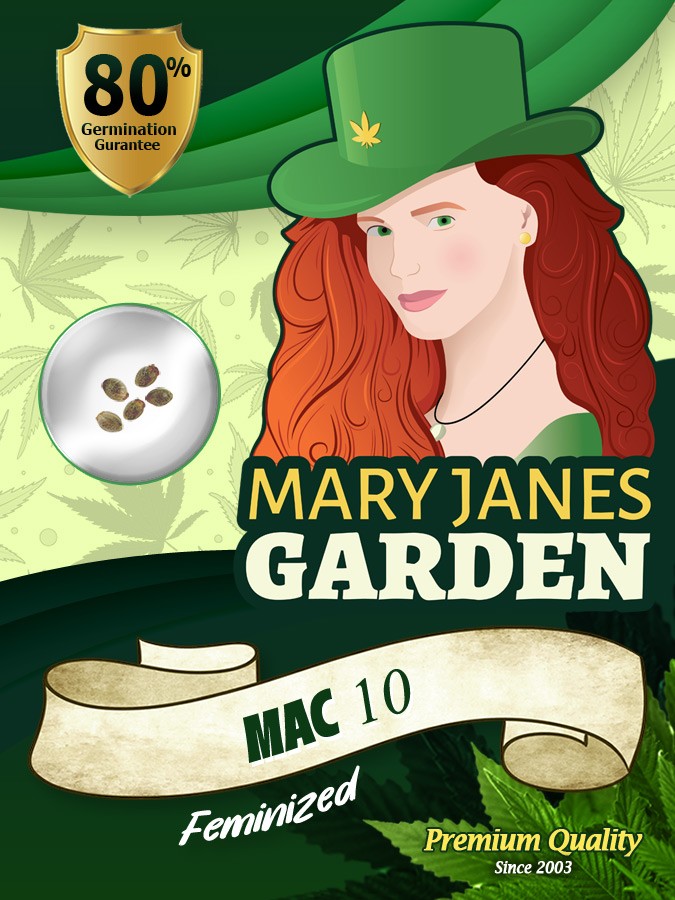 Mac 10 Strain Feminized Marijuana Seeds
