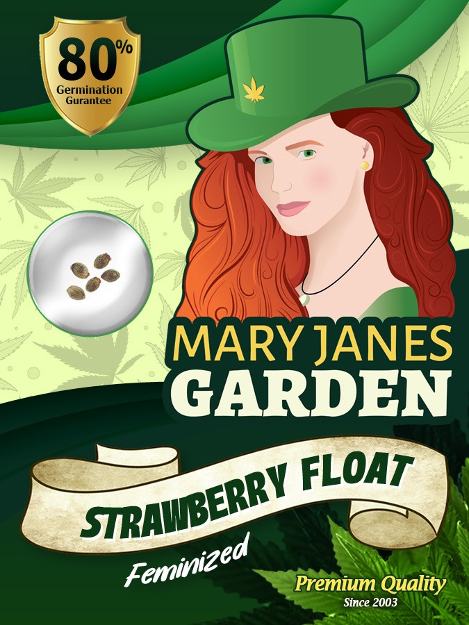 Strawberry Float Strain Feminized Marijuana Seeds
