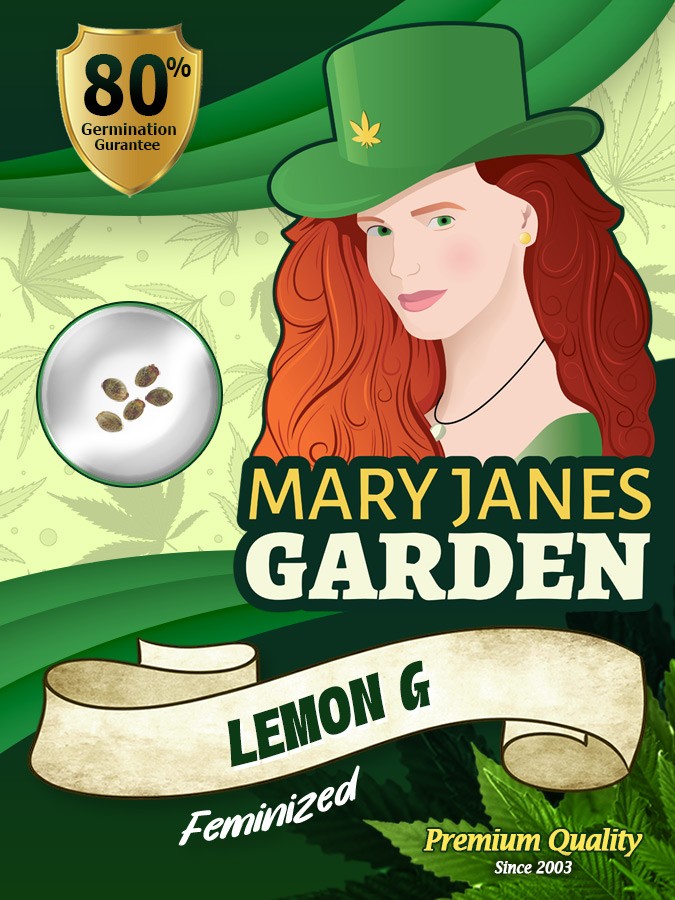 Lemon G Strain Feminized Marijuana Seeds