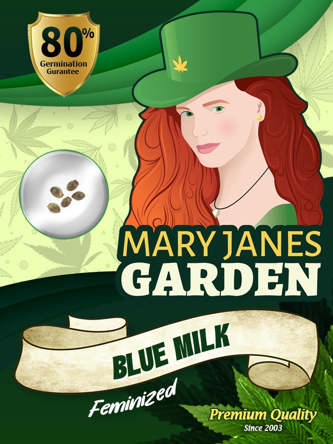 Blue Milk Strain Feminized Marijuana Seeds