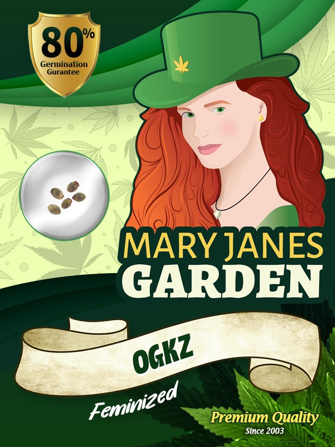 OGKZ Strain Feminized Marijuana Seeds