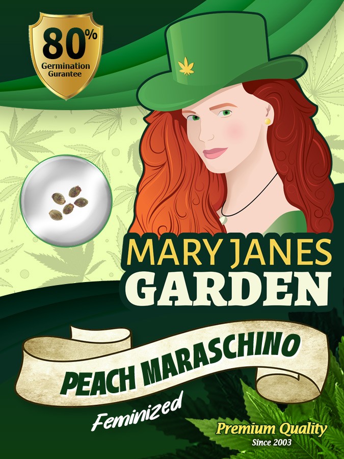 Peach Maraschino Strain Feminized Marijuana Seeds
