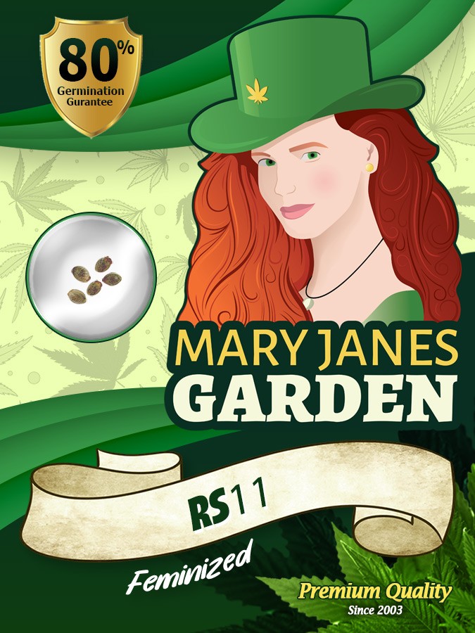 RS11 Strain Feminized Marijuana Seeds