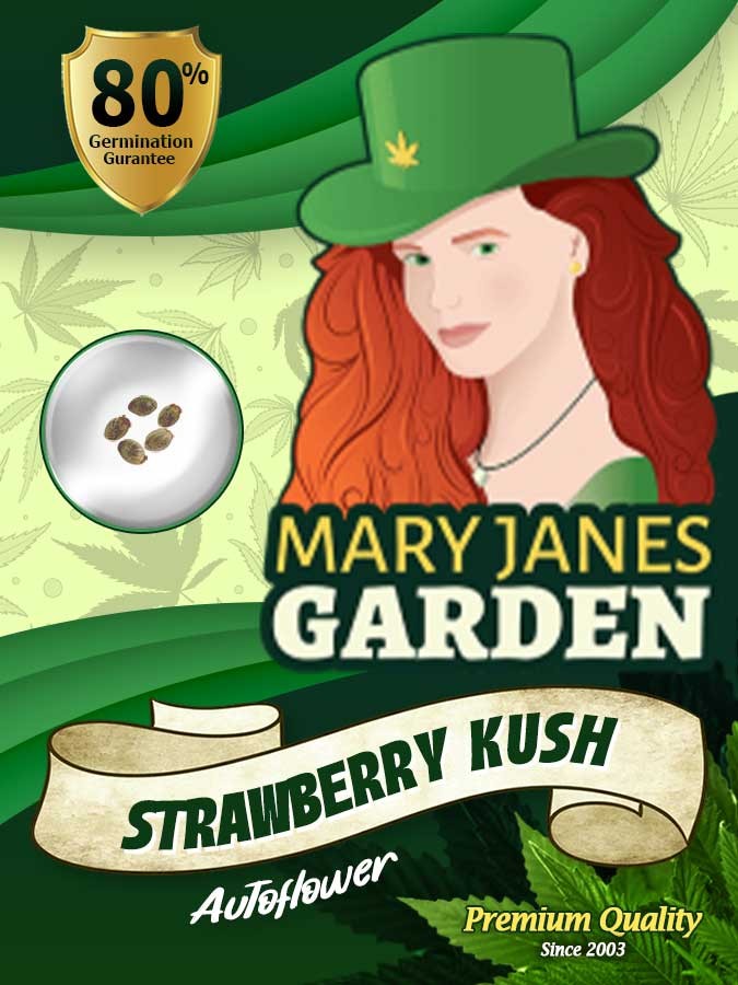 Strawberry Kush Autoflowering Feminized Marijuana Seeds