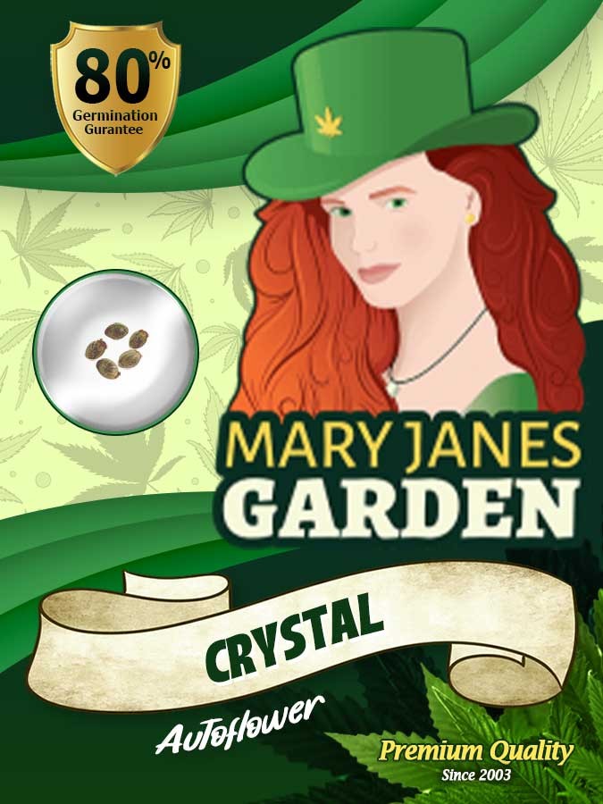 Crystal Strain Autoflowering Feminized Marijuana Seeds