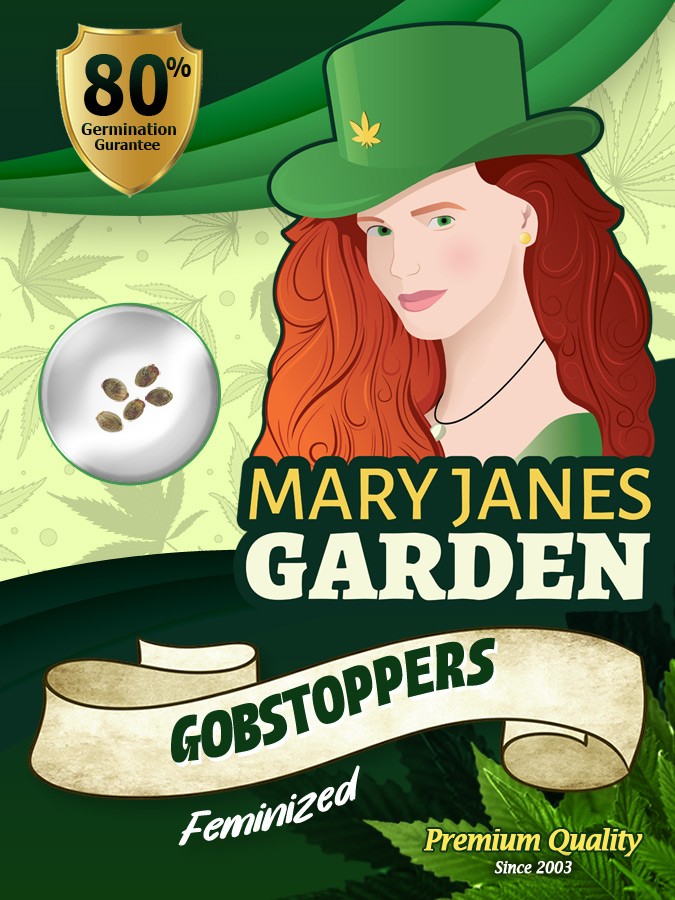 Gobstoppers Strain Feminized Marijuana Seeds