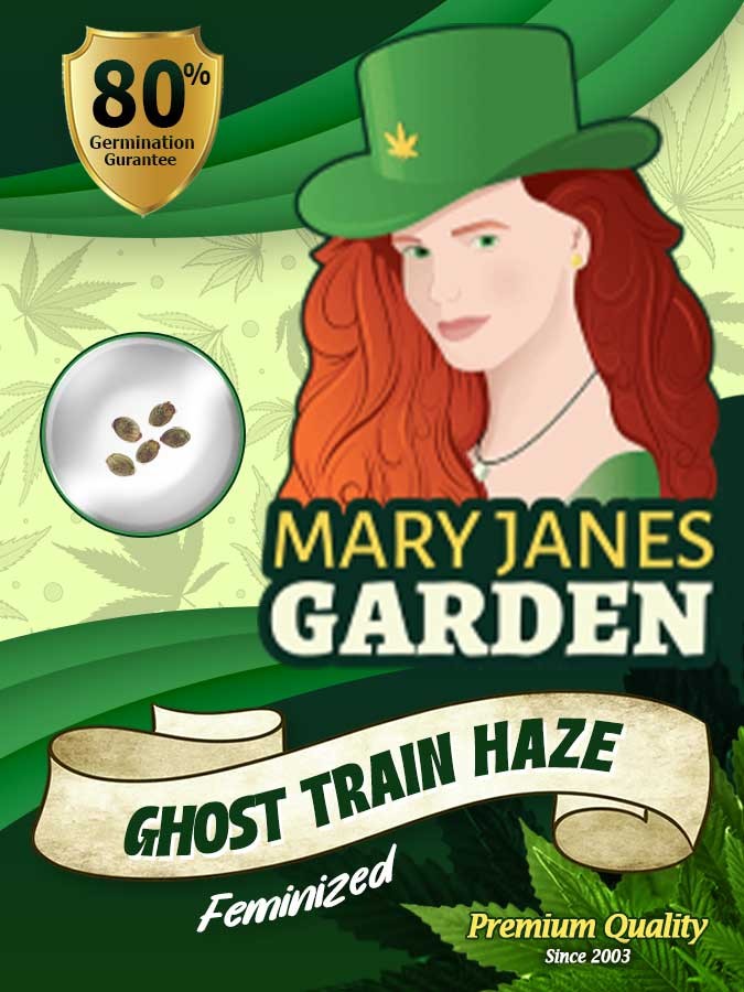 Ghost Train Haze Feminized Marijuana Seeds