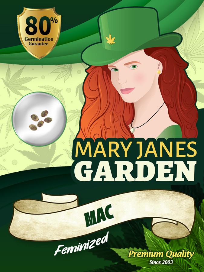 MAC Strain Feminized Marijuana Seeds
