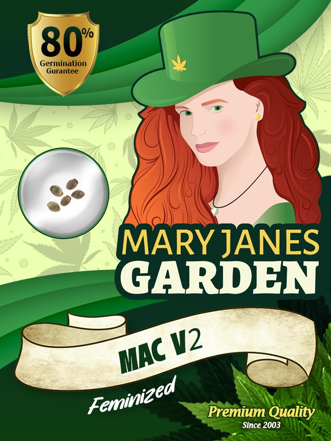 Mac V2 Strain Feminized Marijuana Seeds