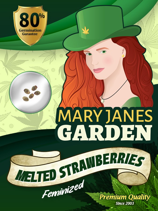 Melted Strawberries Strain Feminized Marijuana Seeds