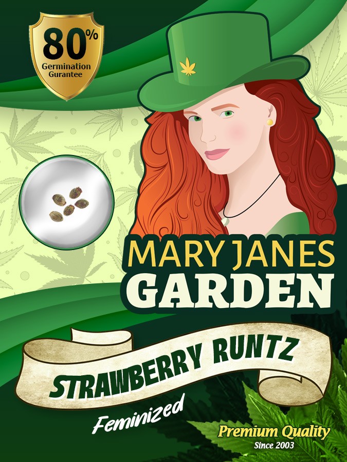 Strawberry Runtz Strain Feminized Marijuana Seeds