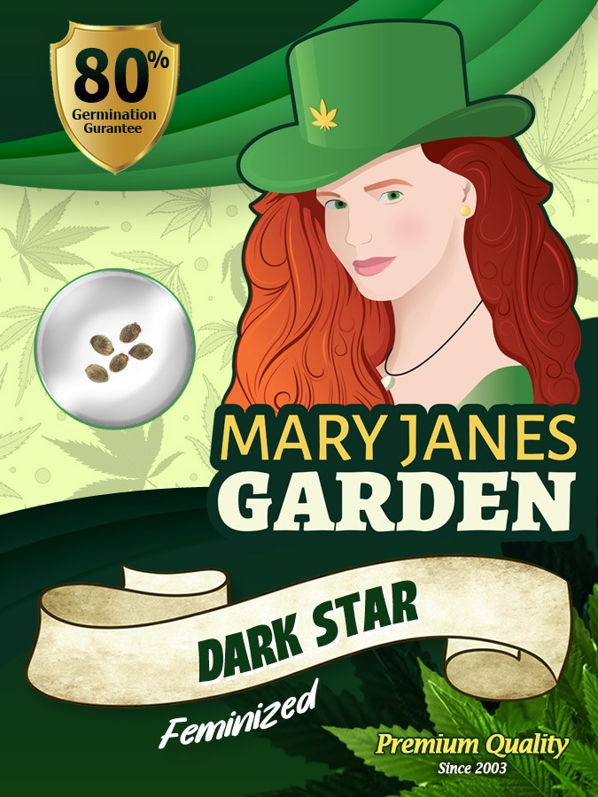 Dark Star Strain Feminized Marijuana Seeds