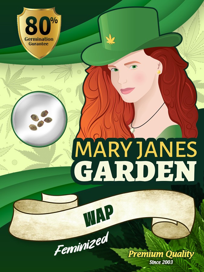 Wap Strain Feminized Marijuana Seeds
