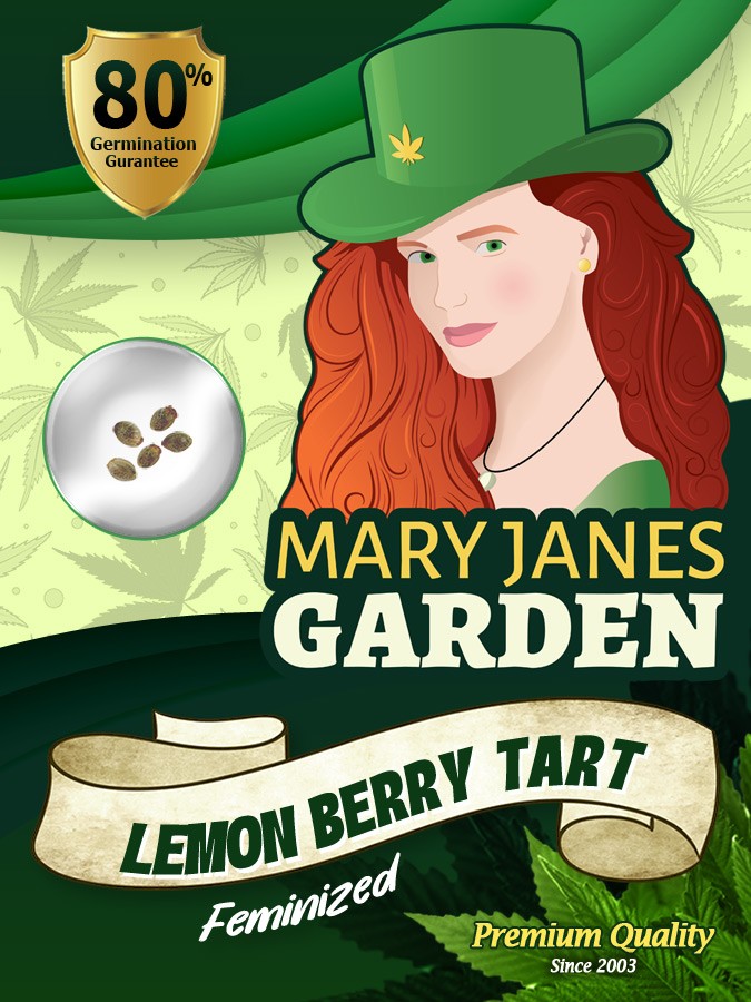 Lemon Berry Tart Strain Feminized Marijuana Seeds