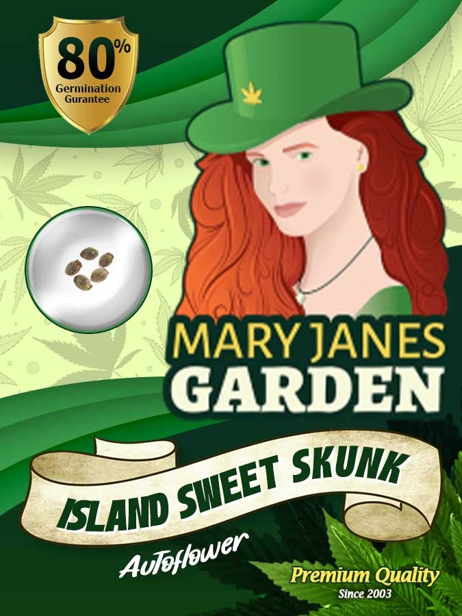 Island Sweet Skunk Strain Autoflowering Feminized Marijuana Seeds