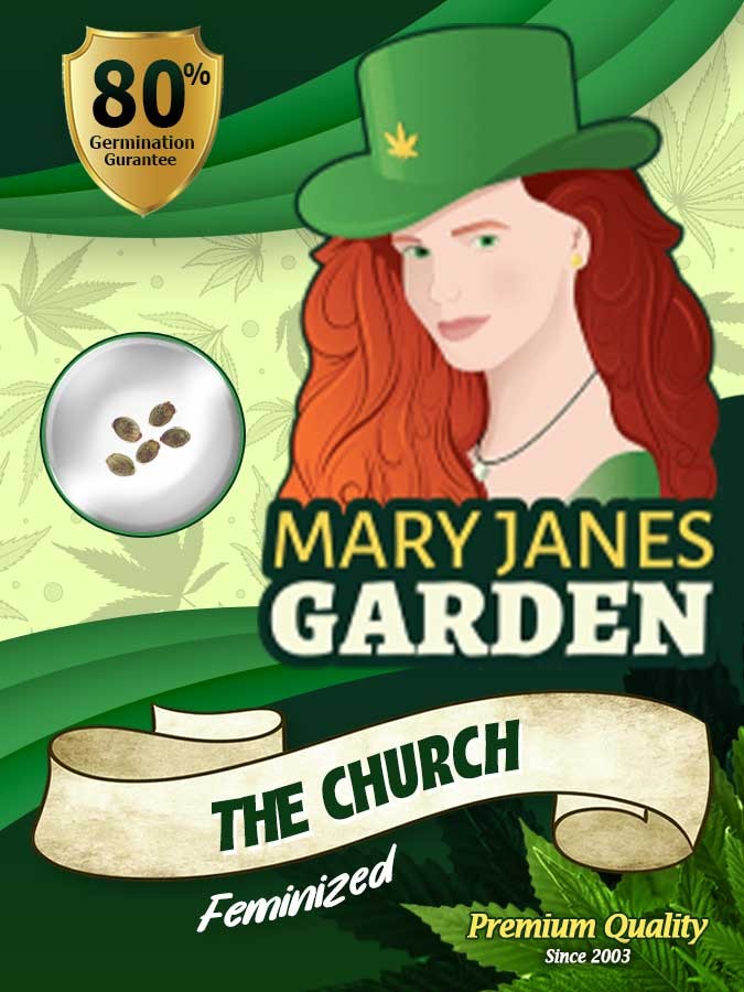 The Church Strain Feminized Marijuana Seeds