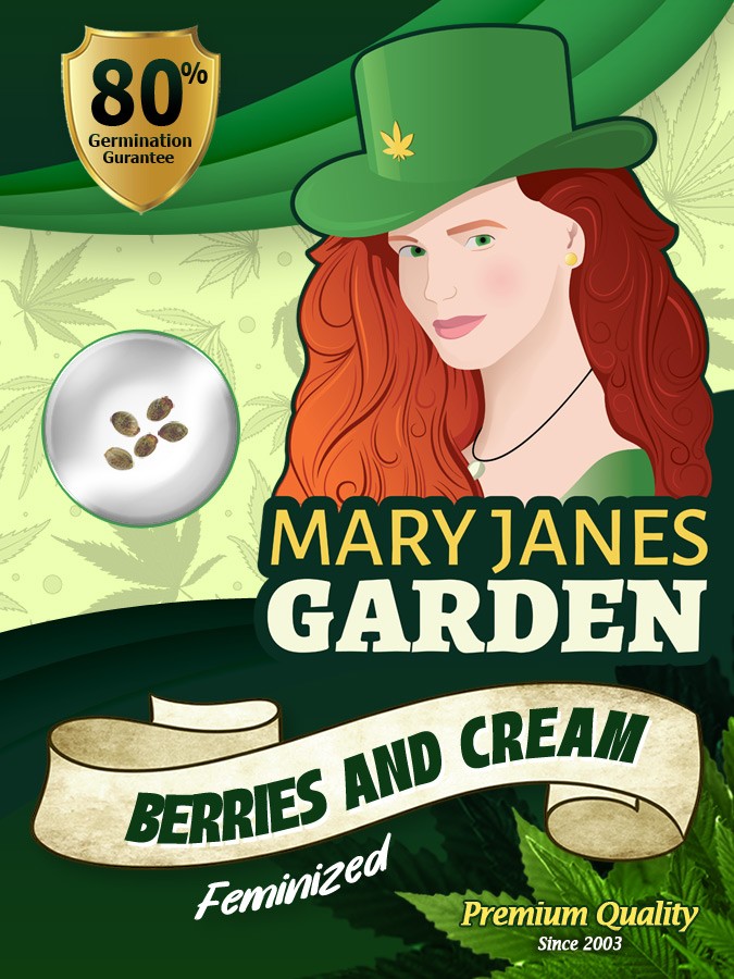 Berries and Cream Strain Feminized Marijuana Seeds