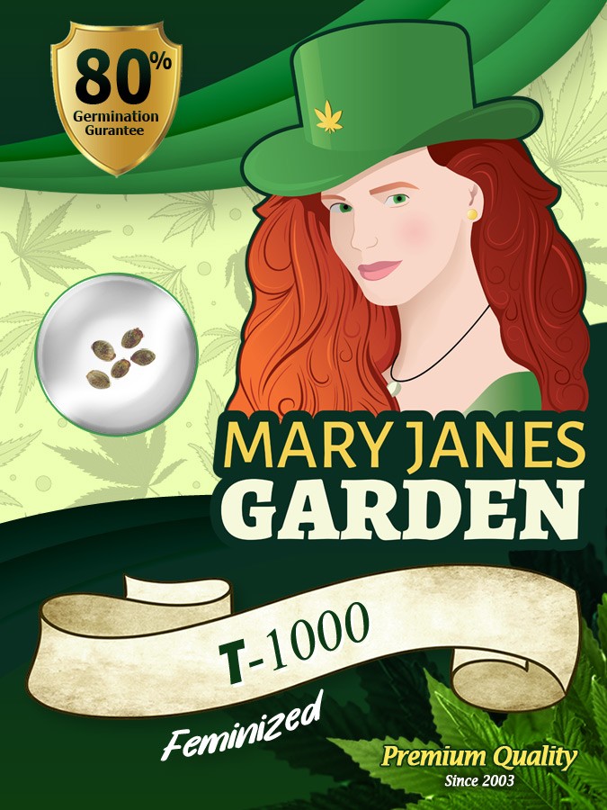T-1000 Strain Feminized Marijuana Seeds