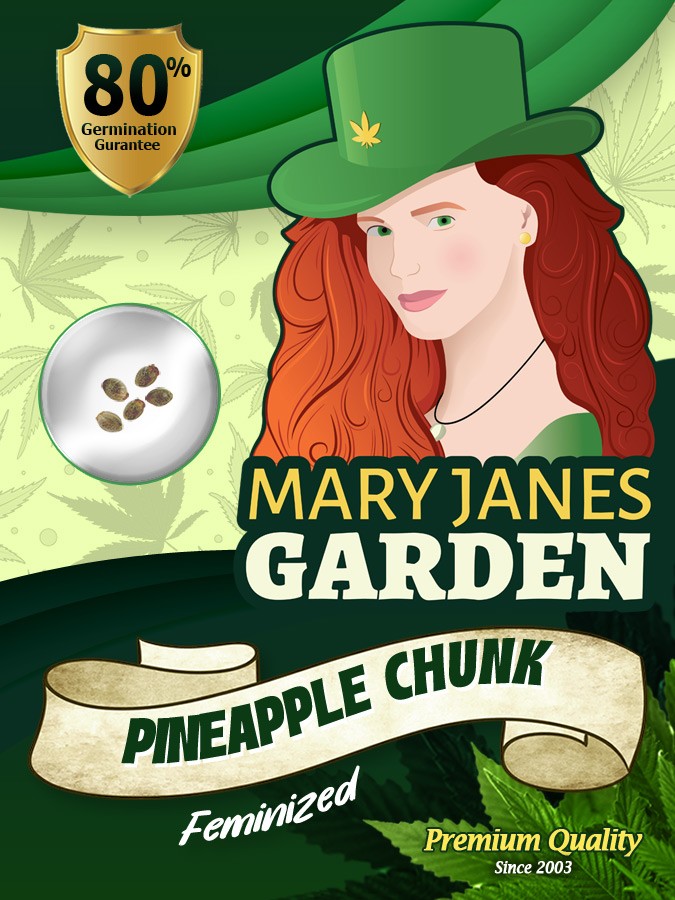 Pineapple Chunk Strain Feminized Marijuana Seeds