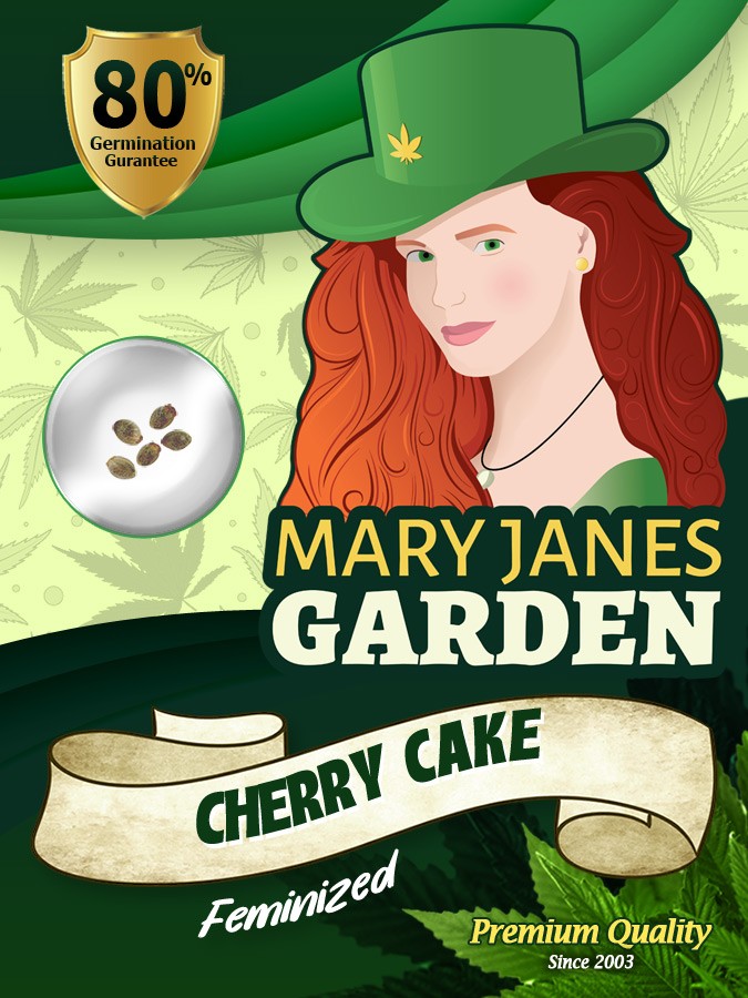 Cherry Cake Strain Feminized Marijuana Seeds
