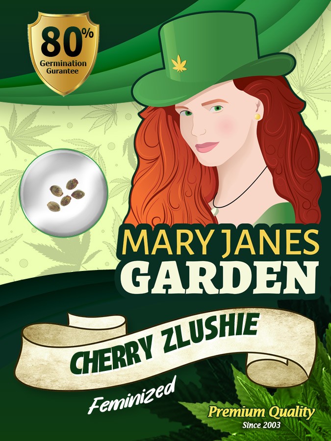 Cherry Zlushie Strain Feminized Marijuana Seeds