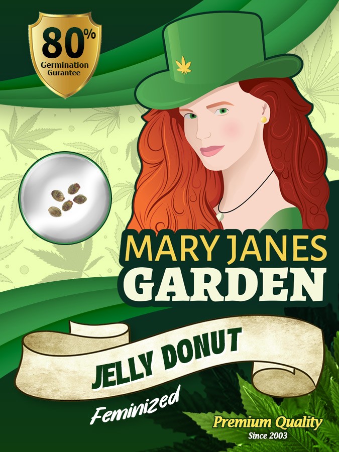Jelly Donut Strain Feminized Marijuana Seeds
