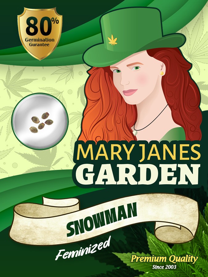 Snowman Strain Feminized Marijuana Seeds