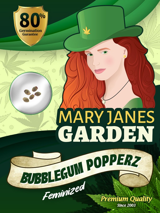 Bubblegum Popperz Strain Feminized Marijuana Seeds