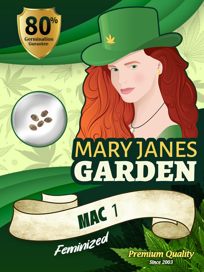 Mac 1 Strain Feminized Marijuana Seeds