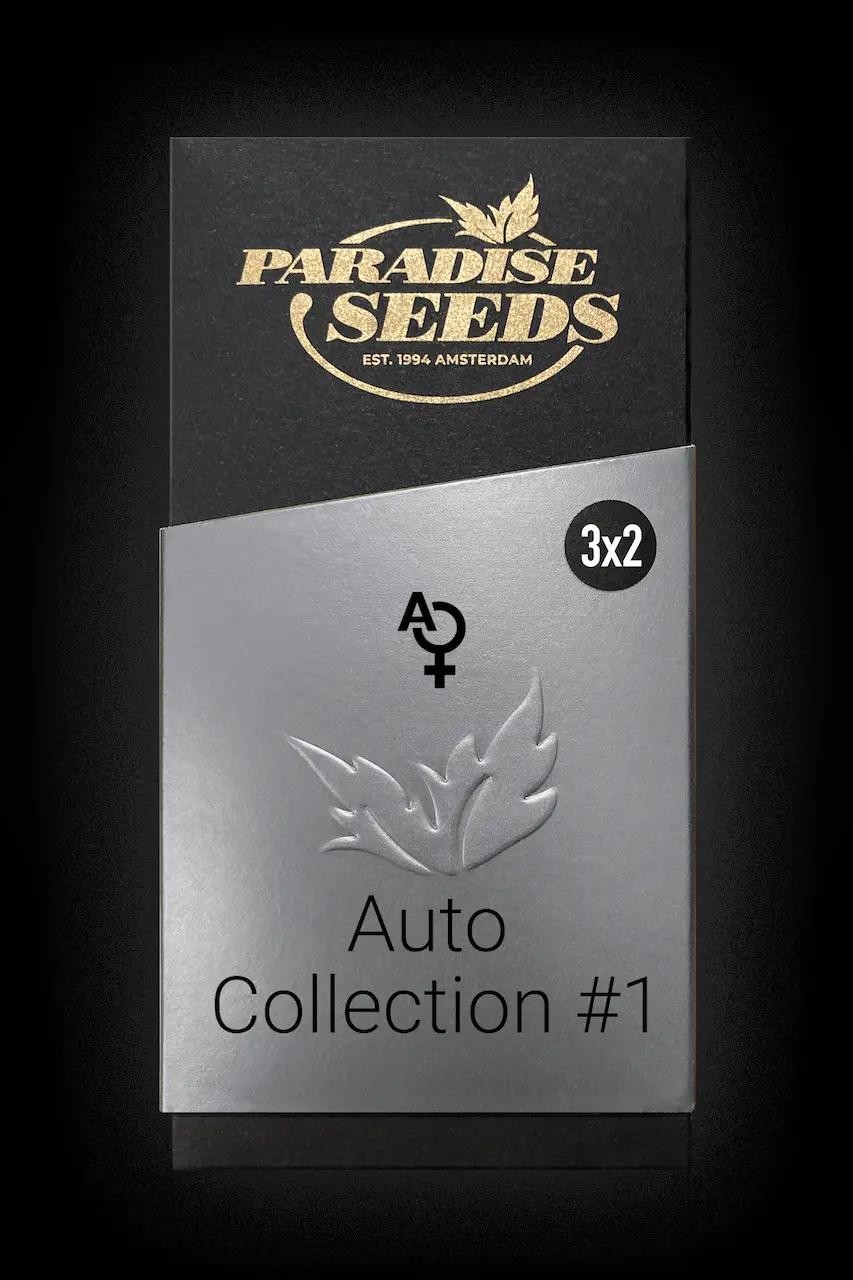 Auto Collection Pack #1
