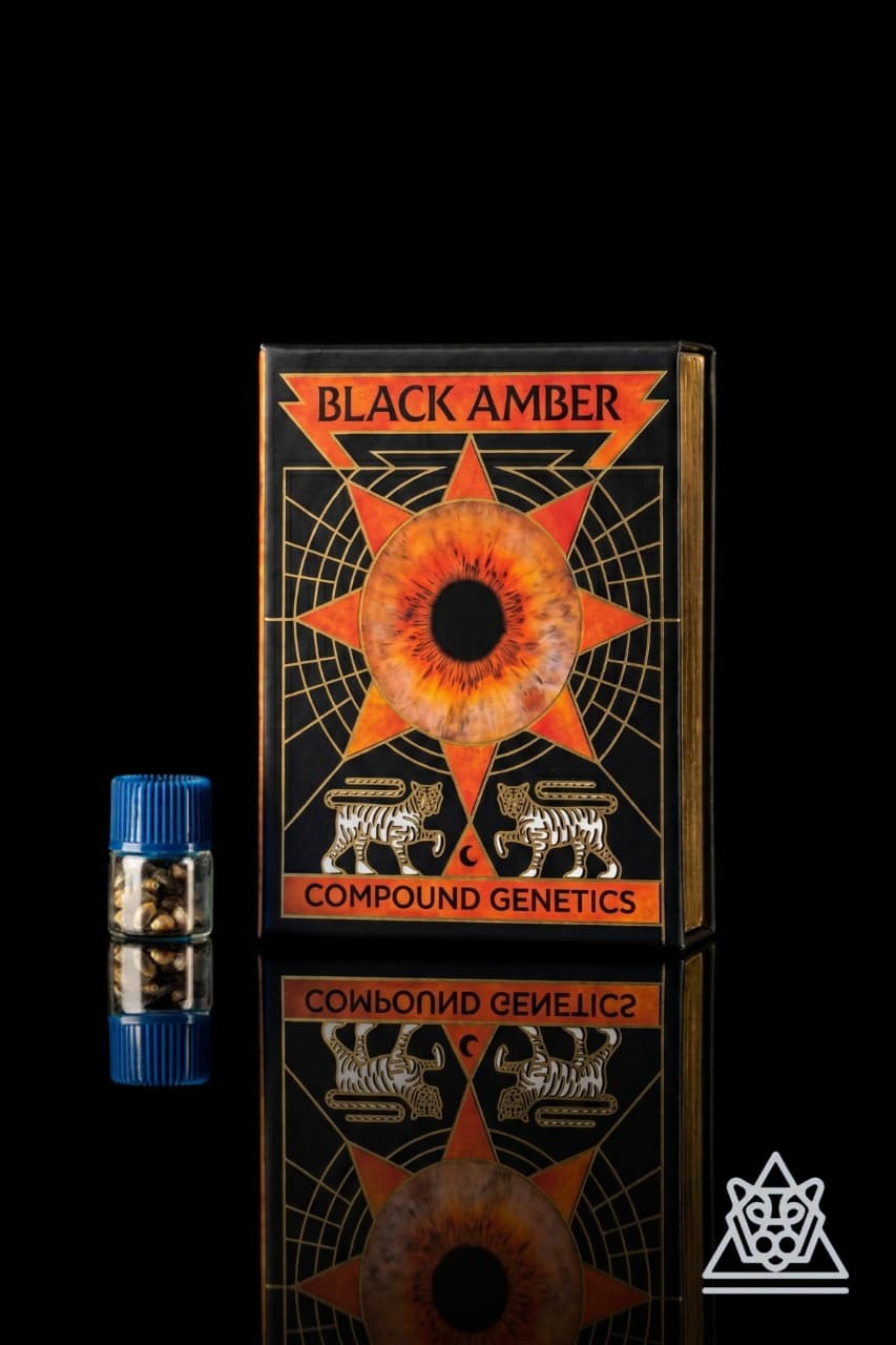 Black Amber Collection