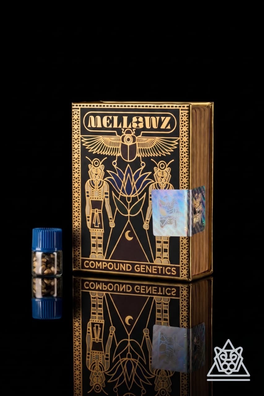 Mellowz Collection